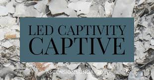 captivity captive
